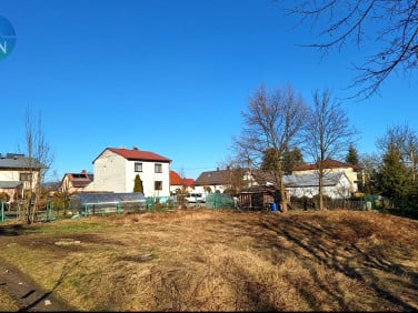 Działka Leśna