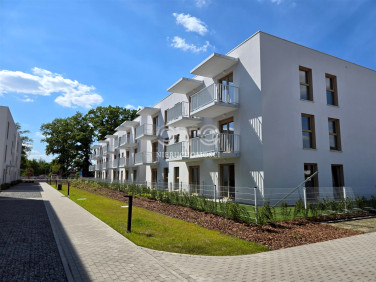 Mieszkanie Wrocław sprzedaż