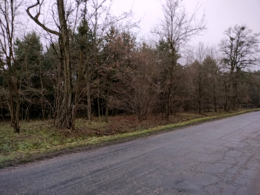 Działka budowlana Ostrowina