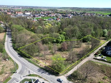 Działka inna Chmielowice