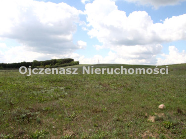 Działka budowlana Szkocja