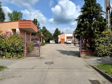 Lokal Kutno