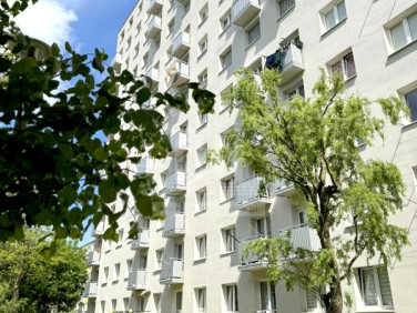 Mieszkanie Słupsk sprzedaż