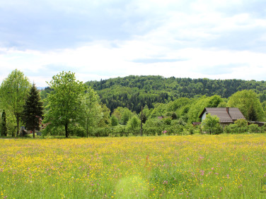 Działka budowlana Kobylec sprzedam