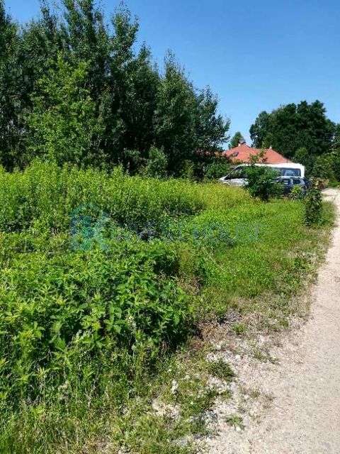Działka budowlana Kolonia Sobików