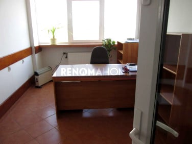 Lokal Legnica