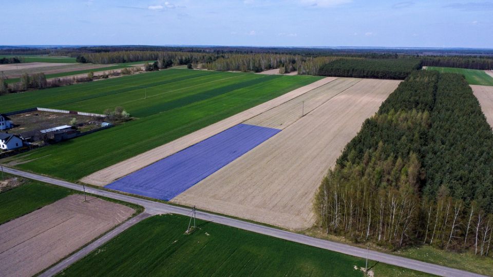 Działka Zimnowoda