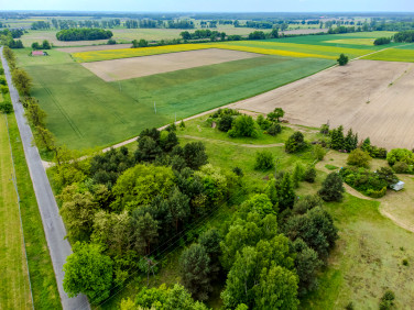 Działka Ostrowina