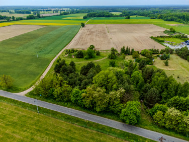 Działka Ostrowina
