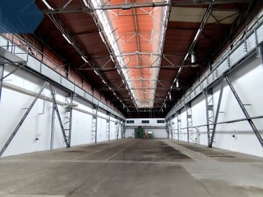 Budynek użytkowy Rzeszów wynajem