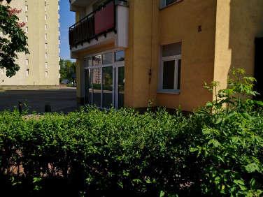 Lokal Warszawa