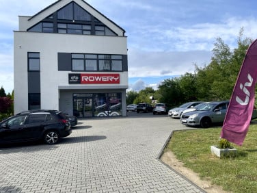 Lokal Kielce