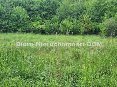 Działka rekreacyjna Brzeziny-Kolonia