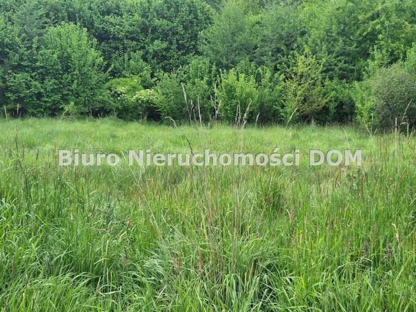 Działka rekreacyjna Brzeziny-Kolonia