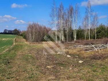 Działka budowlana Nowy Jasiniec