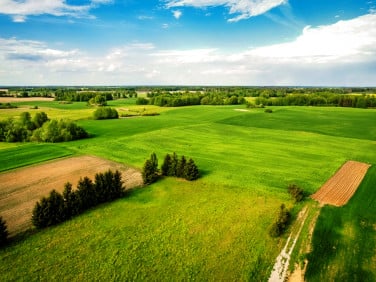 Działka Sędki