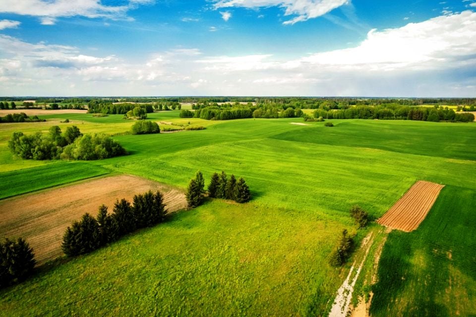 Działka Sędki