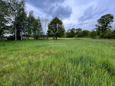 Działka budowlana Borek