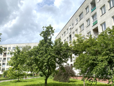 Mieszkanie Wrocław