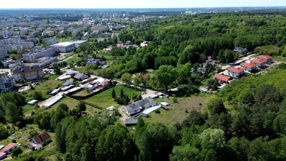 Zdjęcie 3