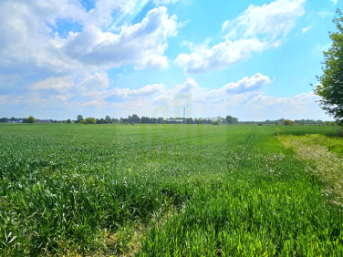Działka budowlana Bieniewice
