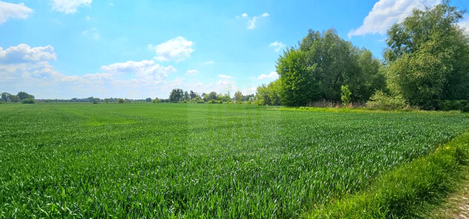 Działka Bieniewice