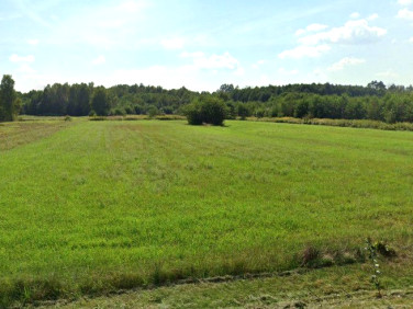 Działka budowlana Zdżary