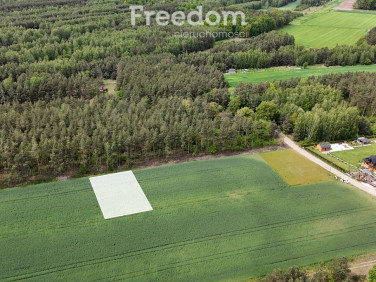 Działka Nowe Groszki