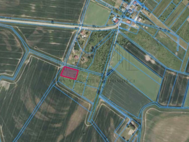 Działka Lenartowice