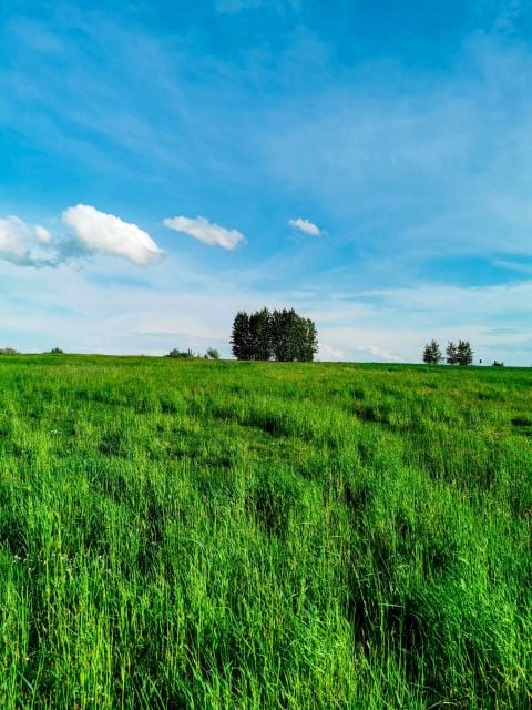 Działka rolna Śliwno sprzedam