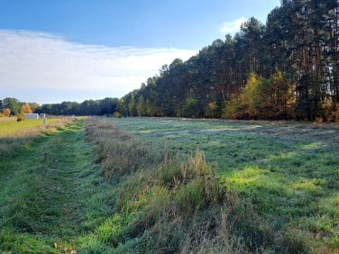 Działka Prądki