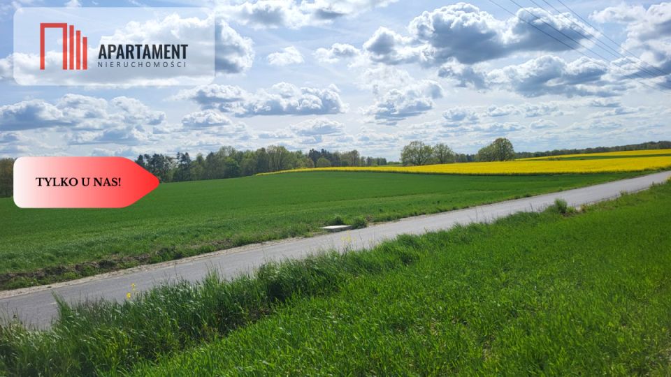 Działka rolna Śmielin sprzedam