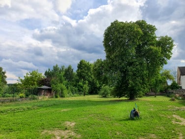 Działka budowlana Gogolin
