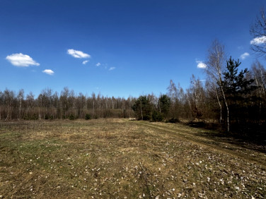 Działka Stawy