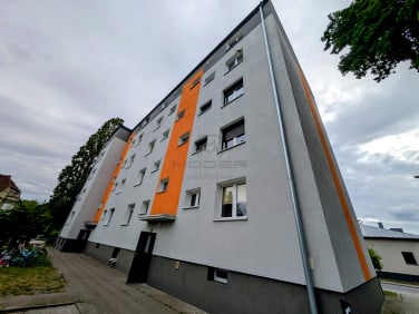 Mieszkanie Witnica
