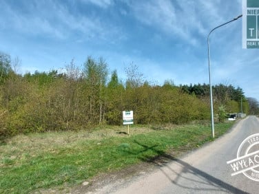 Działka Słone
