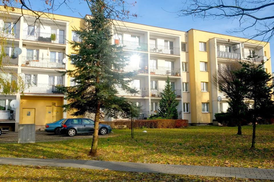 Zdjęcie 3