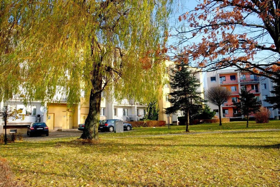 Zdjęcie 2