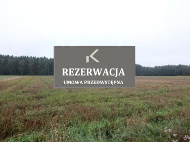 Działka Namysłów