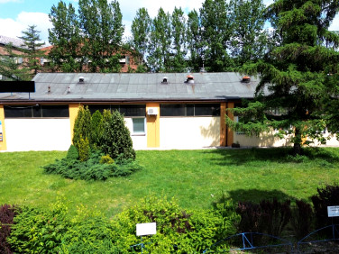 Lokal Katowice