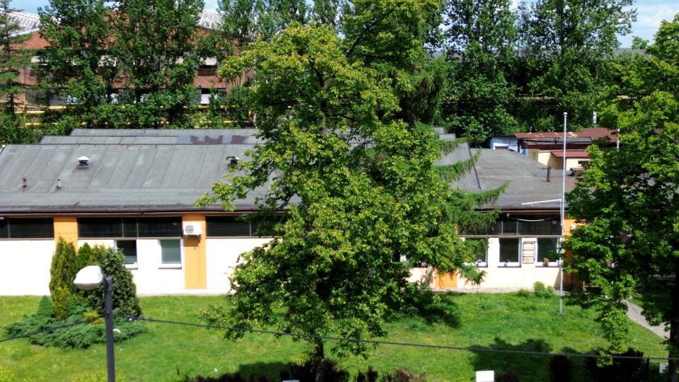 Lokal Katowice
