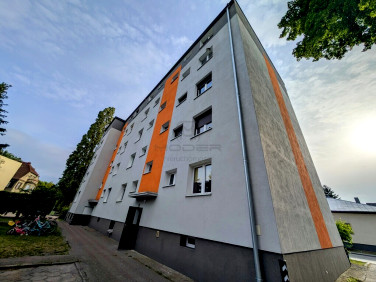 Mieszkanie Witnica wynajem