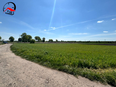 Działka Piotrków Kujawski