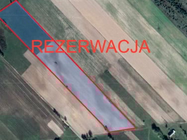 Działka Bierniki