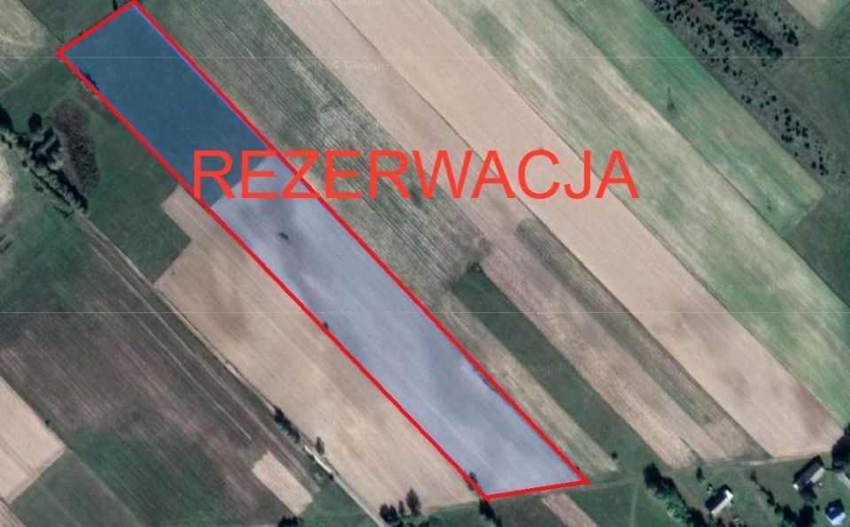 Działka Bierniki