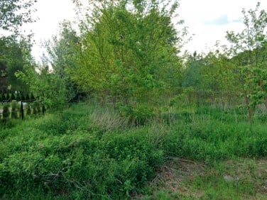 Działka Sadowa