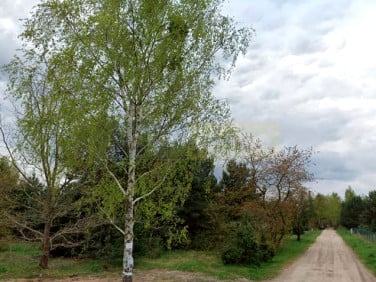 Działka budowlana Łomianki