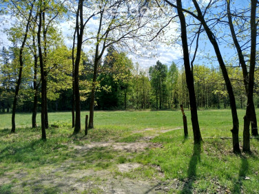 Działka Radawa