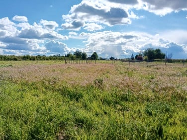 Działka Ostrołęka