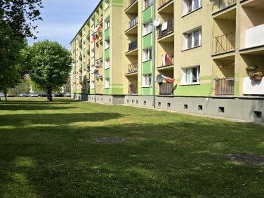 Mieszkanie Sulechów